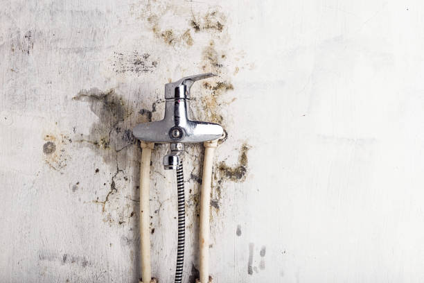 Reliable Spencer, WI Mold Remediation Solutions