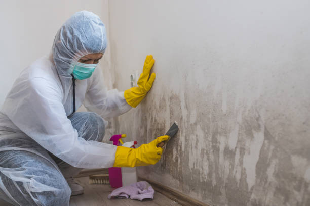 Best HVAC Mold Remediation in Spencer, WI