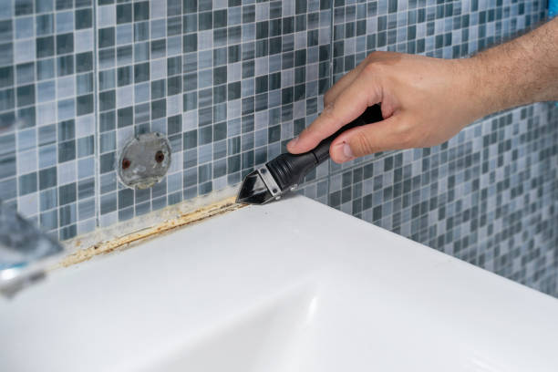 Best White Mold Remediation in Spencer, WI